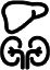 상복부 아이콘
